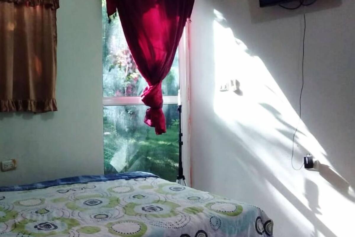 Cortinas blackout y ropa de cama