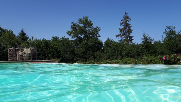 Una piscina cristallina circondata da vegetazione rigogliosa e una struttura in pietra.