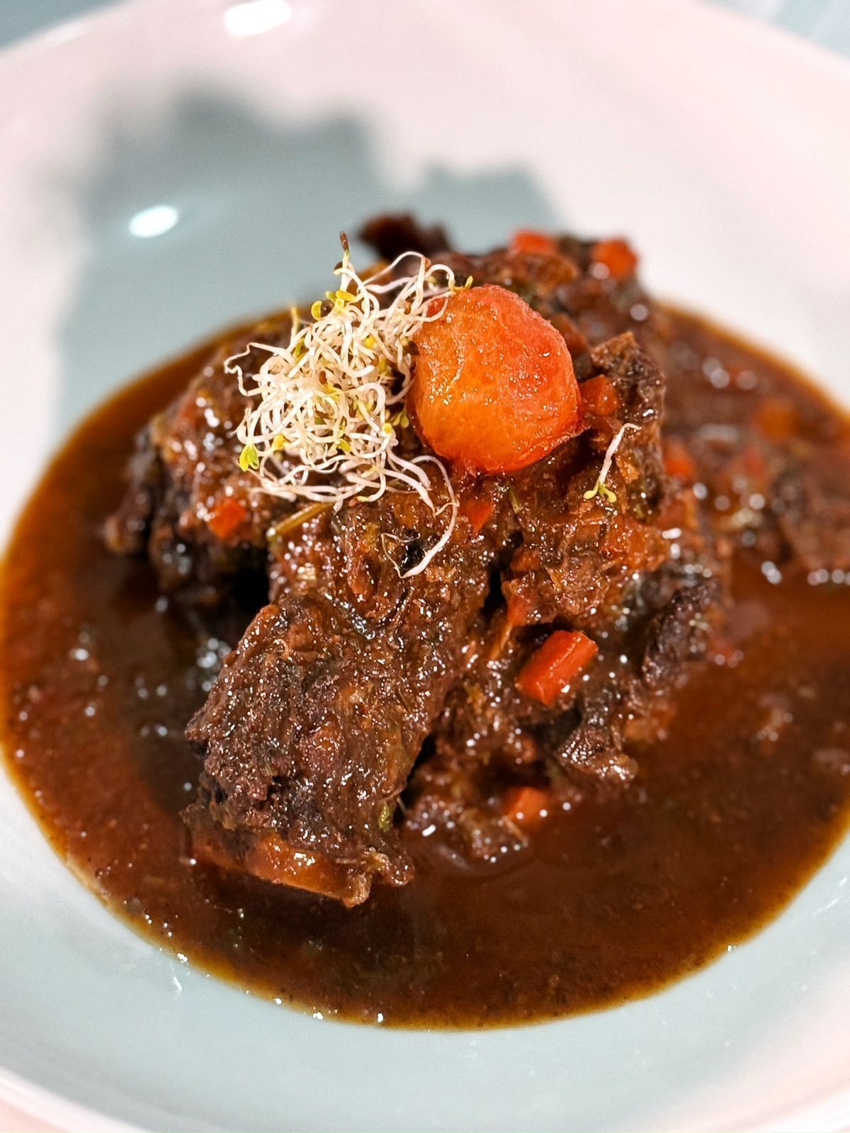 A plate of beef stew with carrots and sprouts.