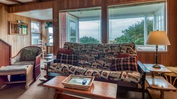 TV, fireplace, DVD player, books