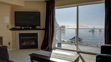 Smart-tv, pejs, dvd-afspiller