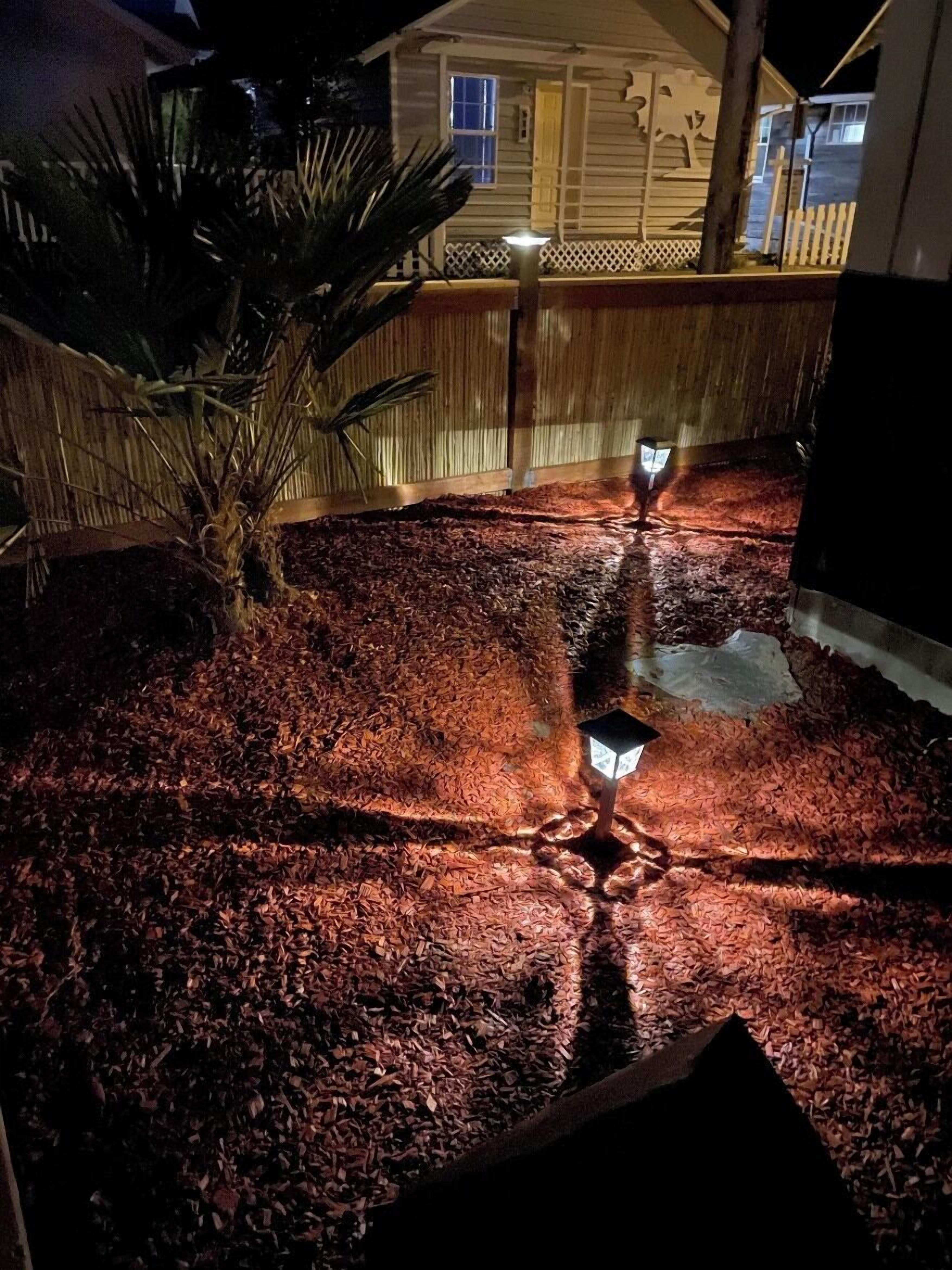 A landscaped area with mulch, a palm tree, and two lit lanterns.
