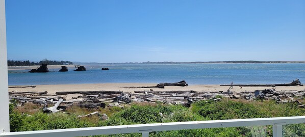A beach with driftwood and rocks, a clear sky, and distant land.