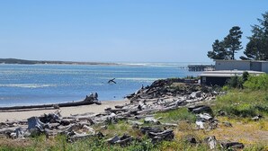En strand med drivved, en brygga och en byggnad med ett platt tak.