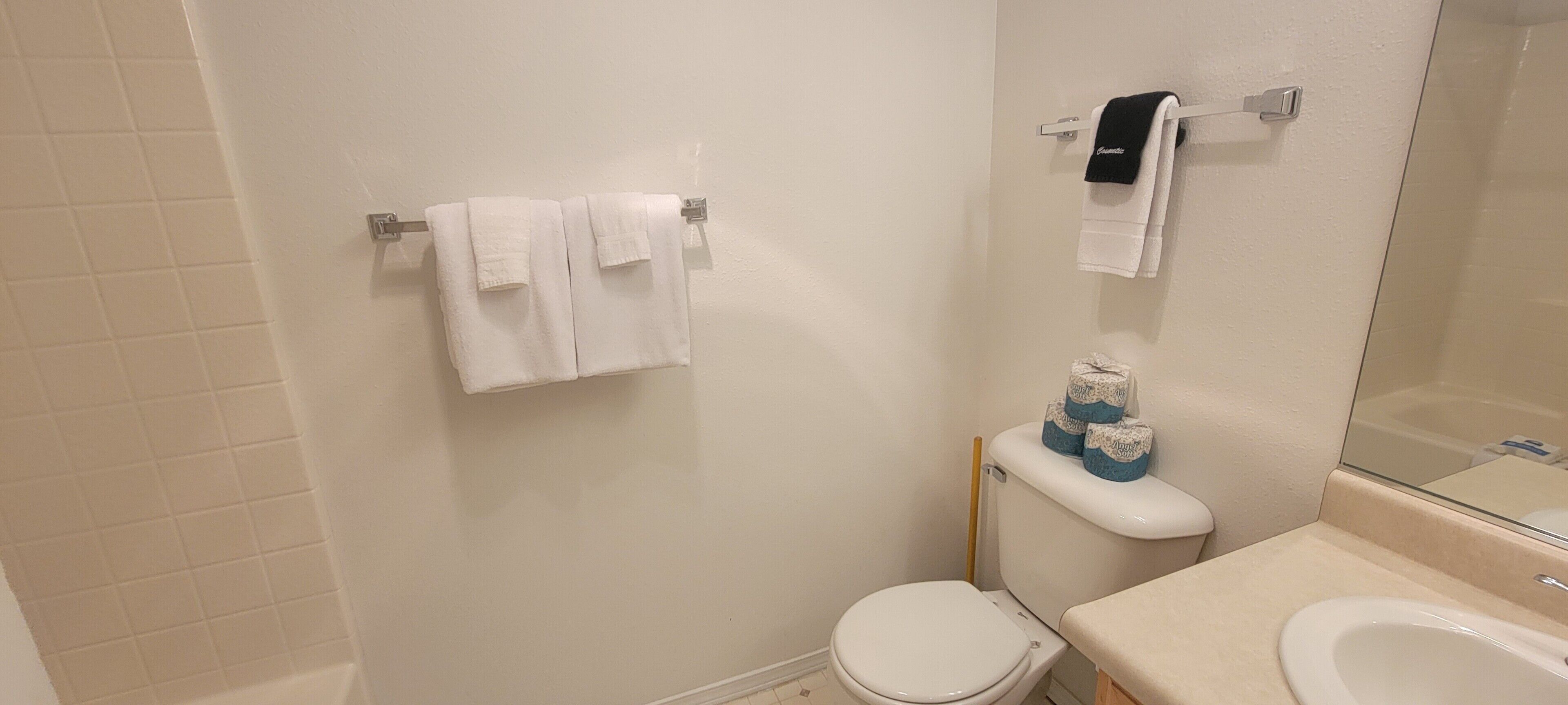 A bathroom with a toilet, sink, and towel rack.