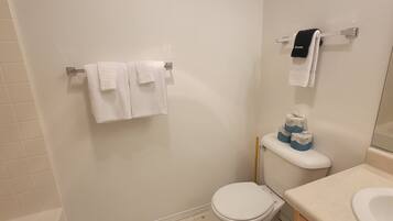 A bathroom with a toilet, sink, and towel rack.
