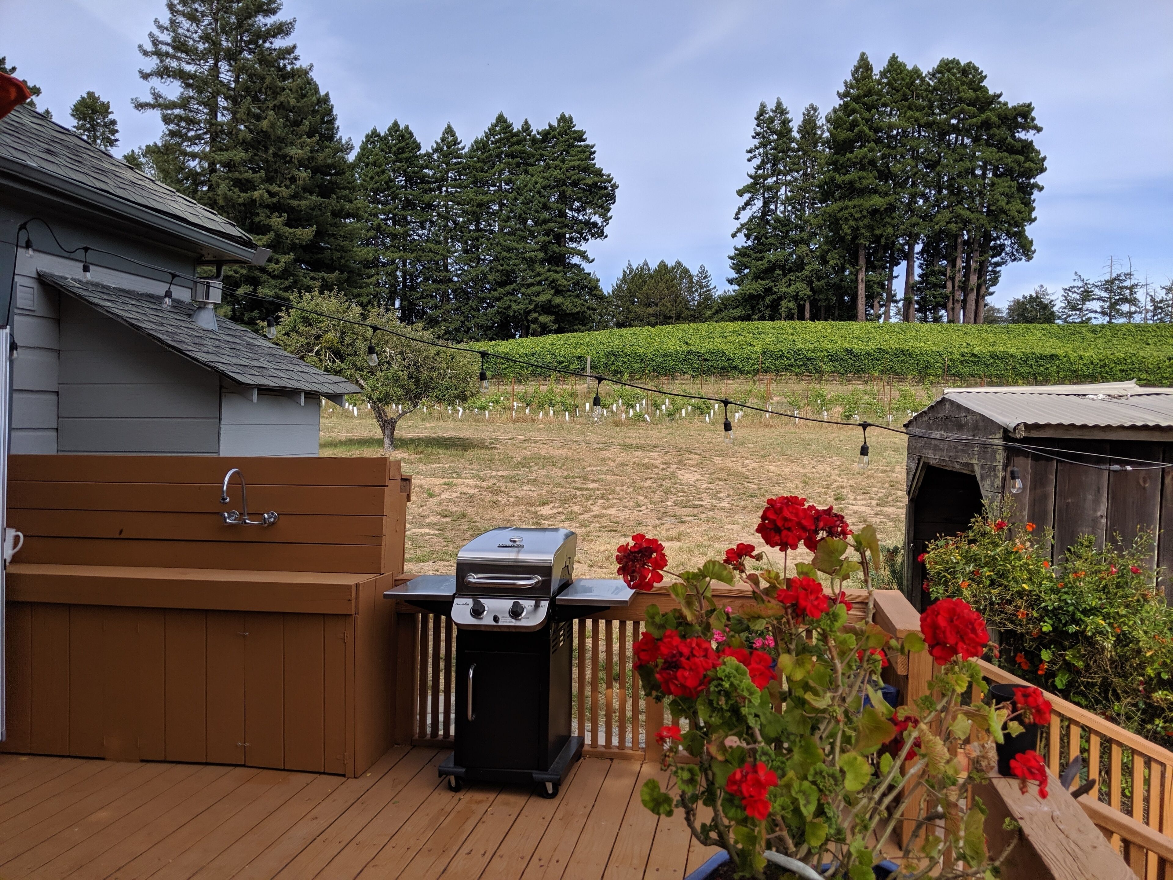 En träaltan med en grill, ett trähus och en trädgård med röda blommor.