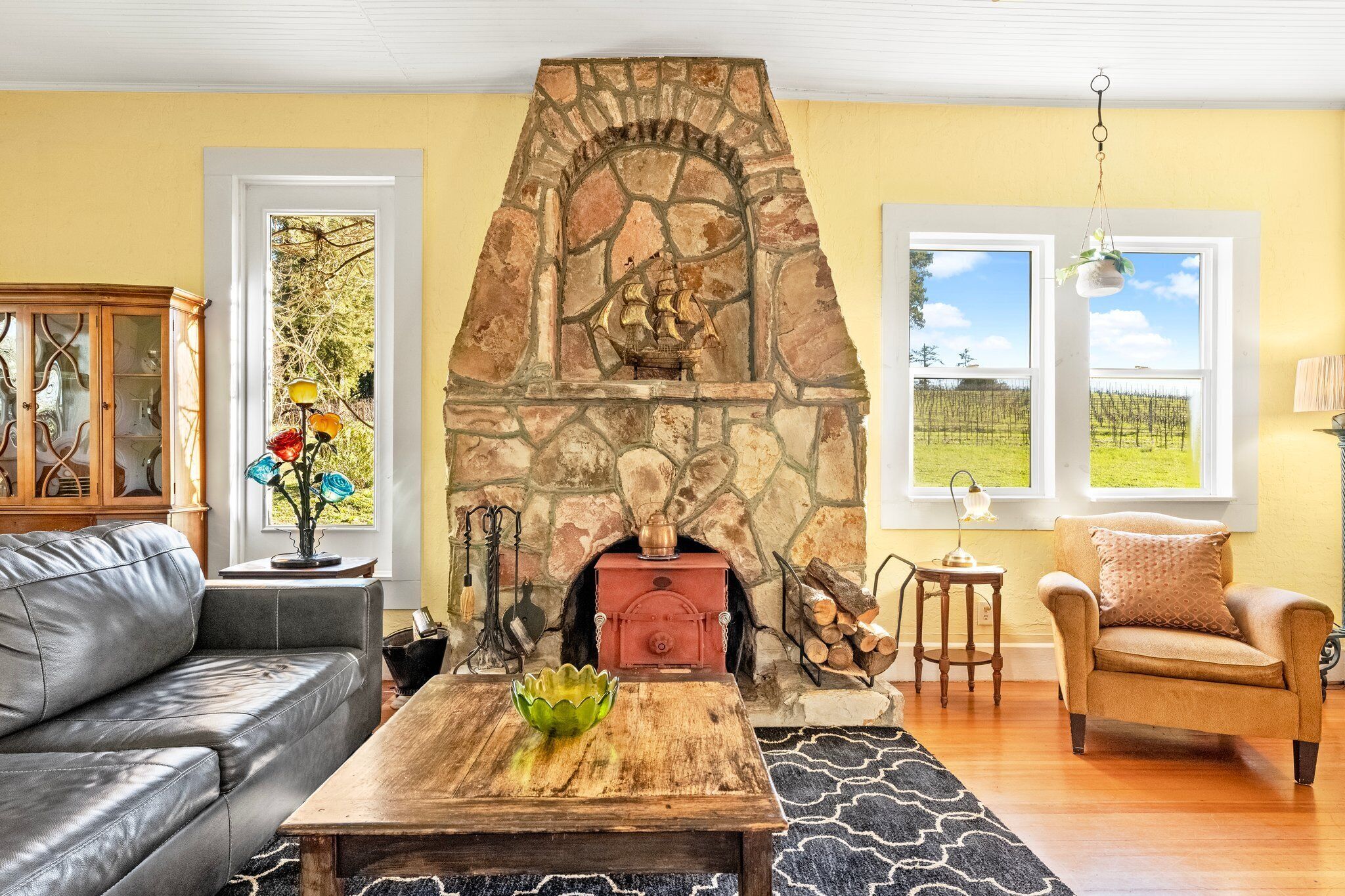 Smart TV, fireplace, books, video library