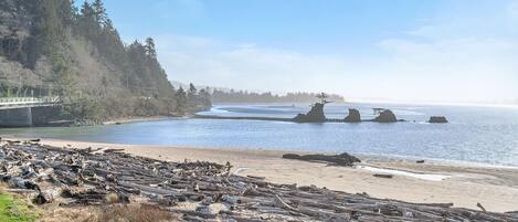 A coastal landscape with a sandy beach, driftwood, a bridge, and rocky formations in the water.
