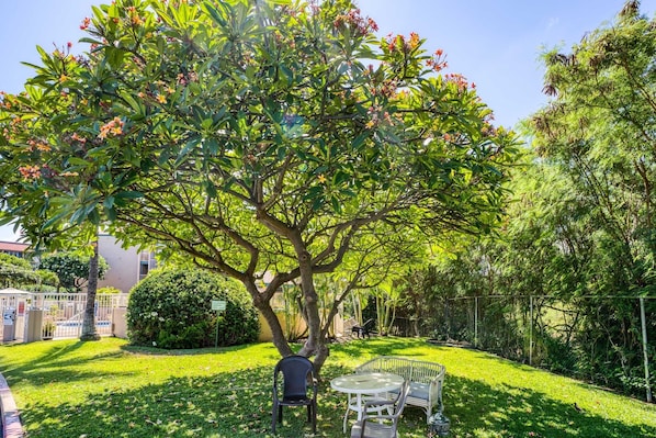Relax in a serene garden setting with a shaded seating area under a large tree.