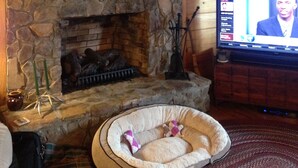 A stone fireplace with a mounted deer head, a framed landscape painting, and a television displaying a news channel.