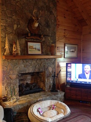 Una chimenea de piedra con una cabeza de venado montada, un cuadro de paisaje enmarcado y un televisor mostrando un noticiero.