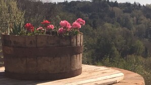 Eine runde Steinstruktur mit einem Blumentopf darauf.