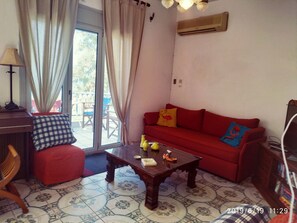 TV, DVD player, table football, books