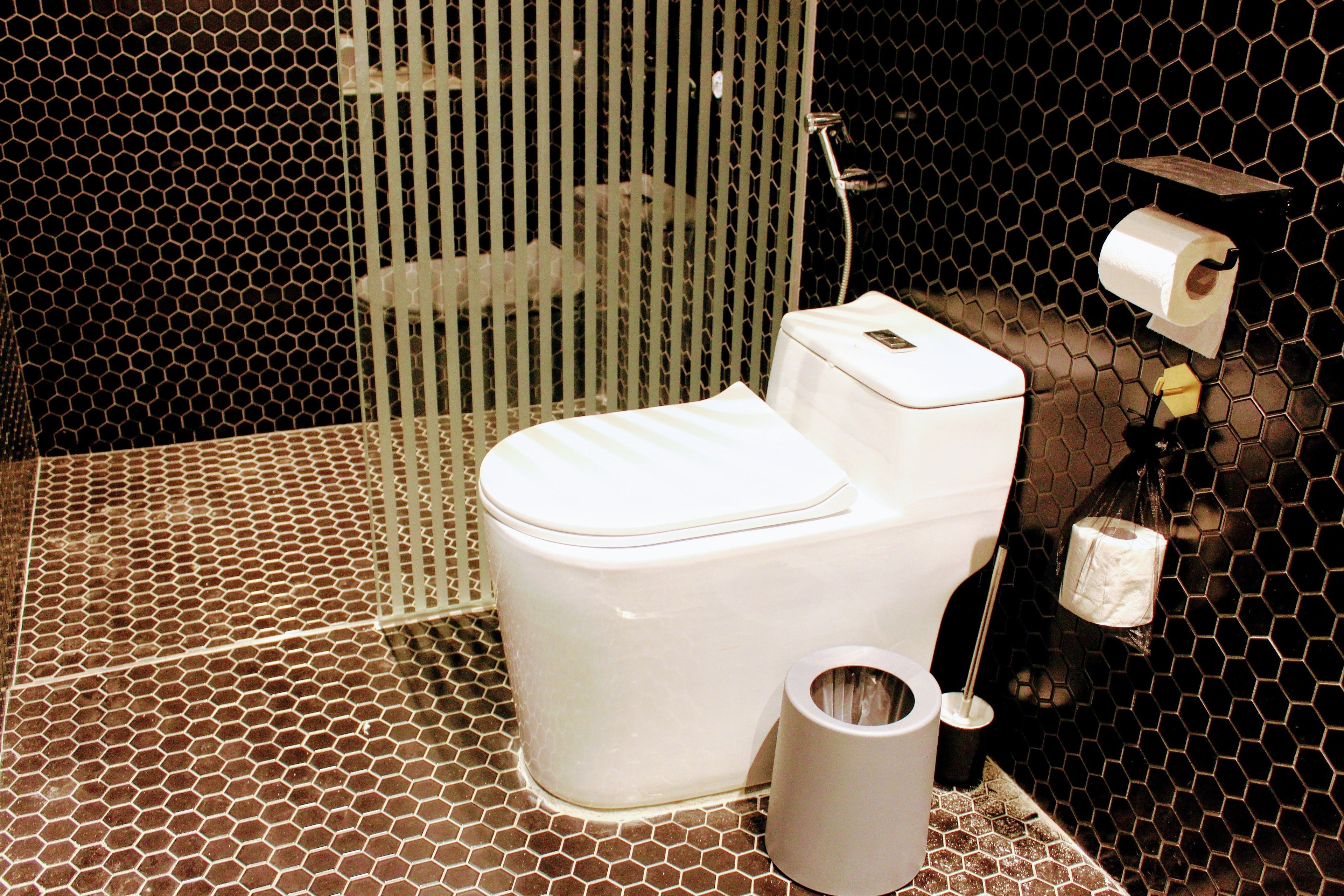 Ein Badezimmer mit hexagonal gefliestem Boden, einer weißen Toilette, einer Duschkabine und einem Toilettenpapierhalter an der Wand.