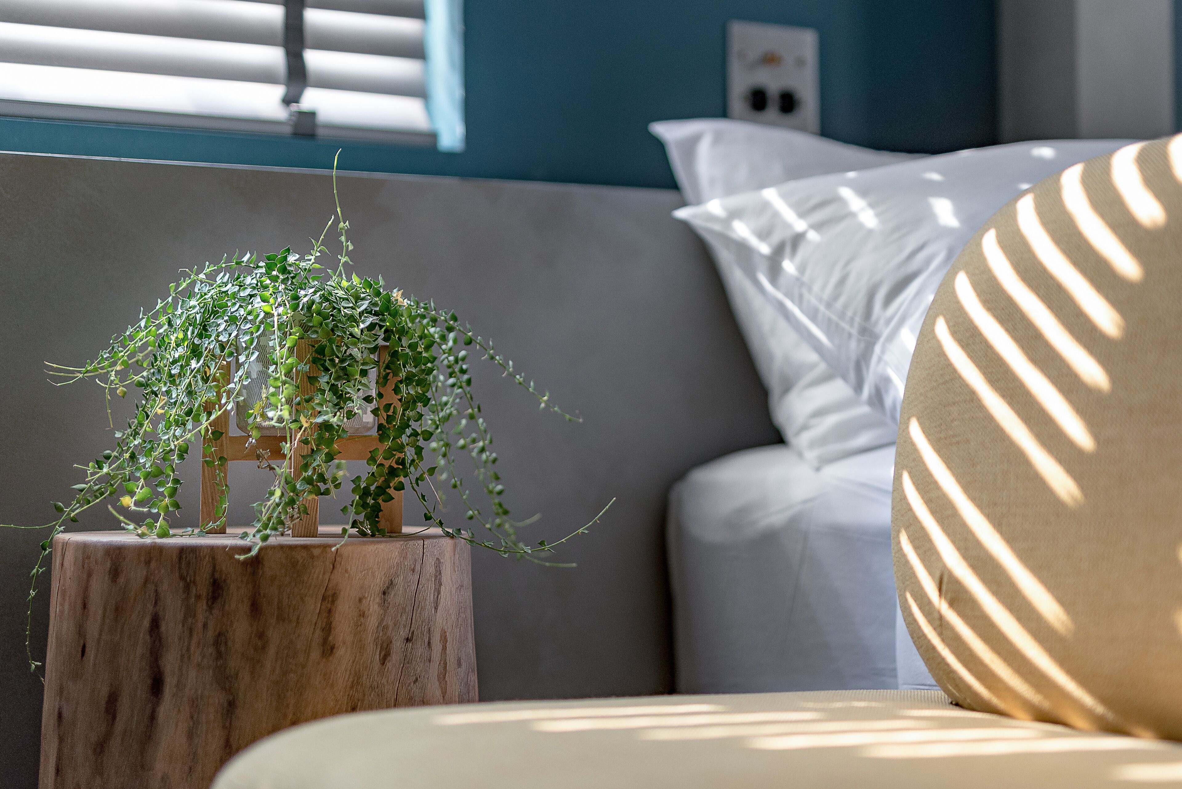 Una planta sobre un taburete de madera, una almohada blanca y un sofá con la luz del sol proyectando sombras.