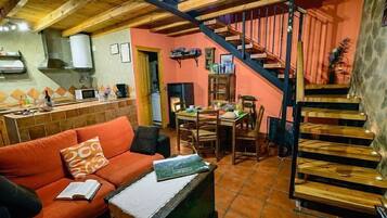 Televisión, chimenea, reproductor de DVD y libros
