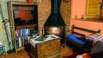 Televisión, chimenea, reproductor de DVD y libros