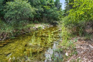 Un cours d'eau naturel bordé d'une végétation luxuriante.