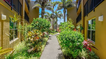 ์ฝ๋, ์นจ์ค 2๊ฐ | ์๋ฐ ์์ค ๊ตฌ๋ด