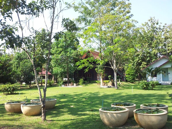 Khuôn viên nơi lưu trú
