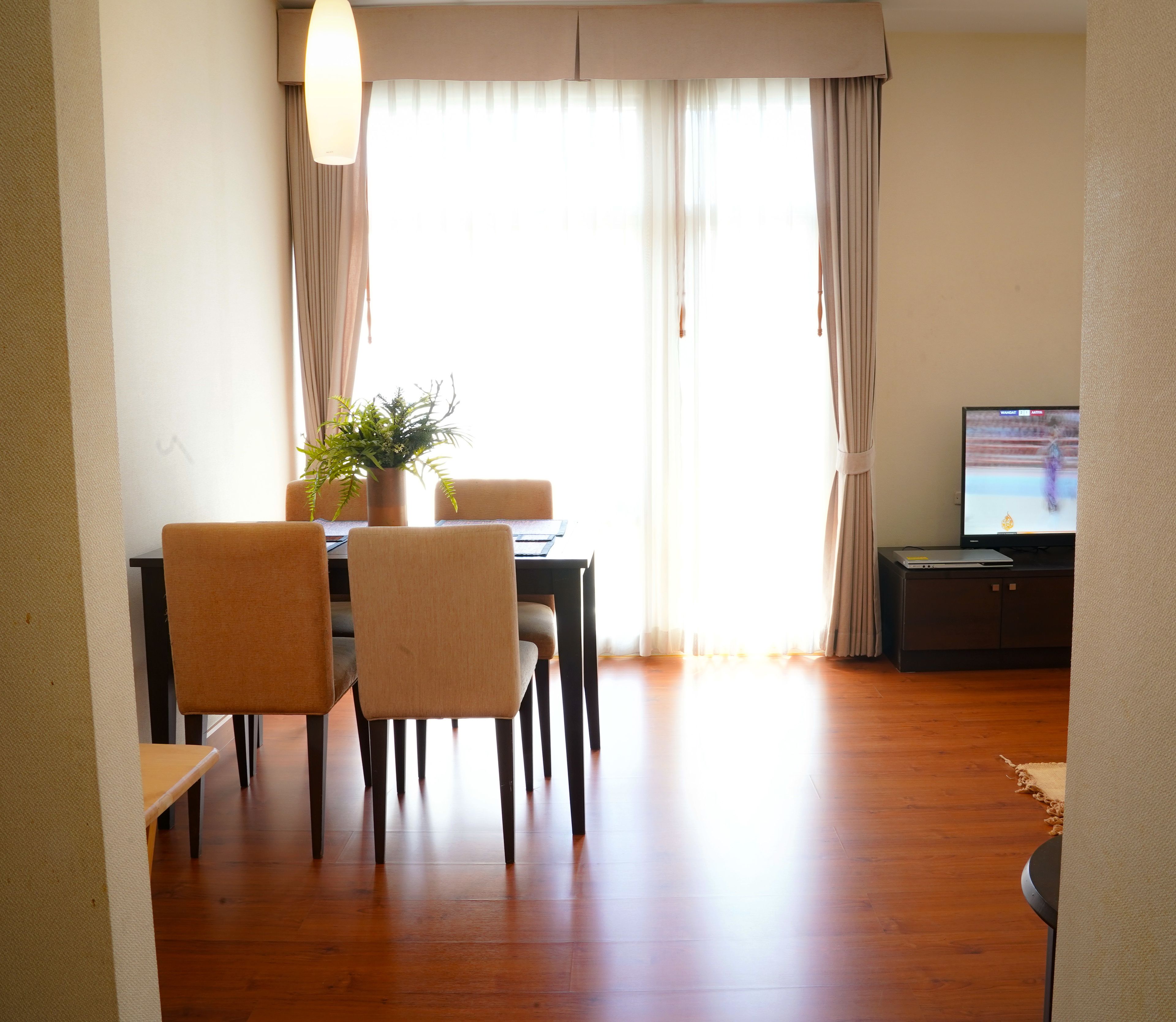A dining area with a table, chairs, a potted plant, and a television in the background.