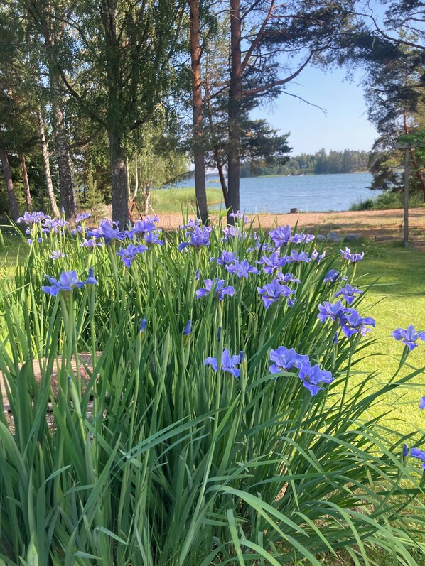 المنطقة المحيطة بالمنشأة