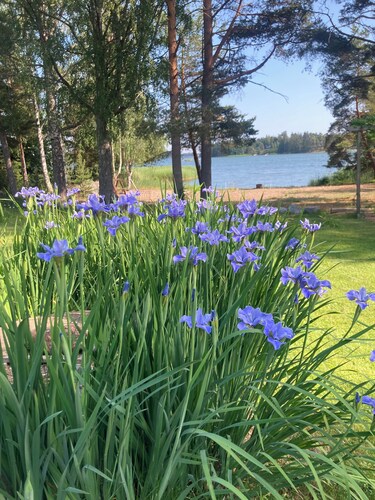 On the sea The Sail House on the island of Sarvisalo in the Porvoo archipelago