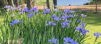 Purfshouse Sarfsalon saarella Porvoon saaristossa