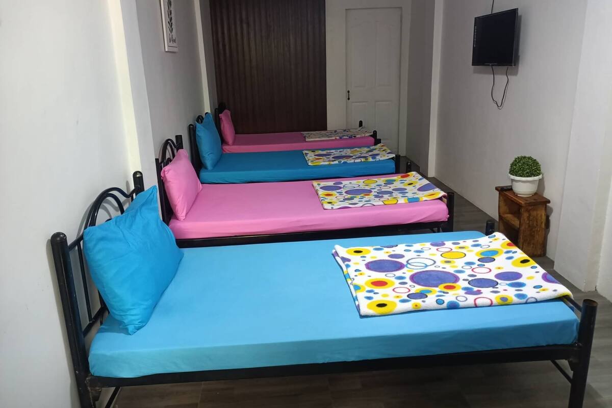 A corridor with four single beds, each with a different colored mattress and pillow. There is a potted plant on a wooden stool to the right.