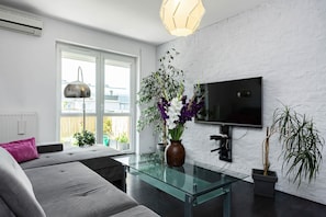 TV