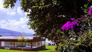 A modern glass building with a flat roof, surrounded by lush green grass and vibrant purple flowers.