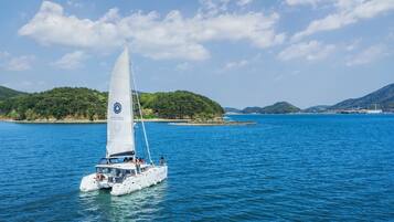 Un velero en un mar tranquilo con una isla boscosa al fondo.