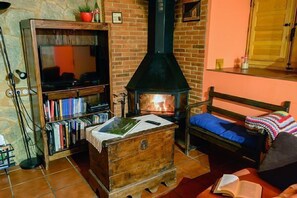 TV, fireplace, DVD player, books