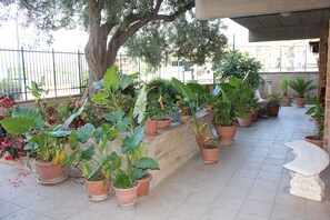 حديقة