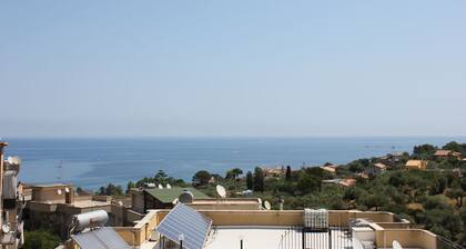 B&B Ulivo