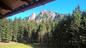 Basic Double or Twin Room (Ramba) | View from room