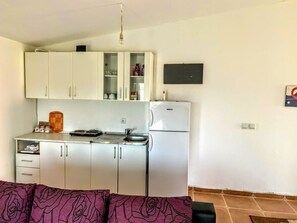 Apartamento clásico | Cocina privada | Frigorífico grande, placa de cocina y utensilios de cocina