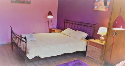 House with garden and nice view in Nitra for rent