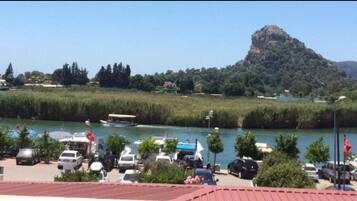 Vista desde la propiedad