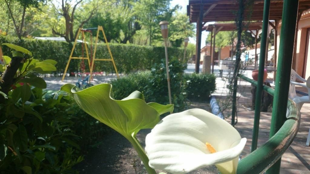Tempat bermain anak - outdoor