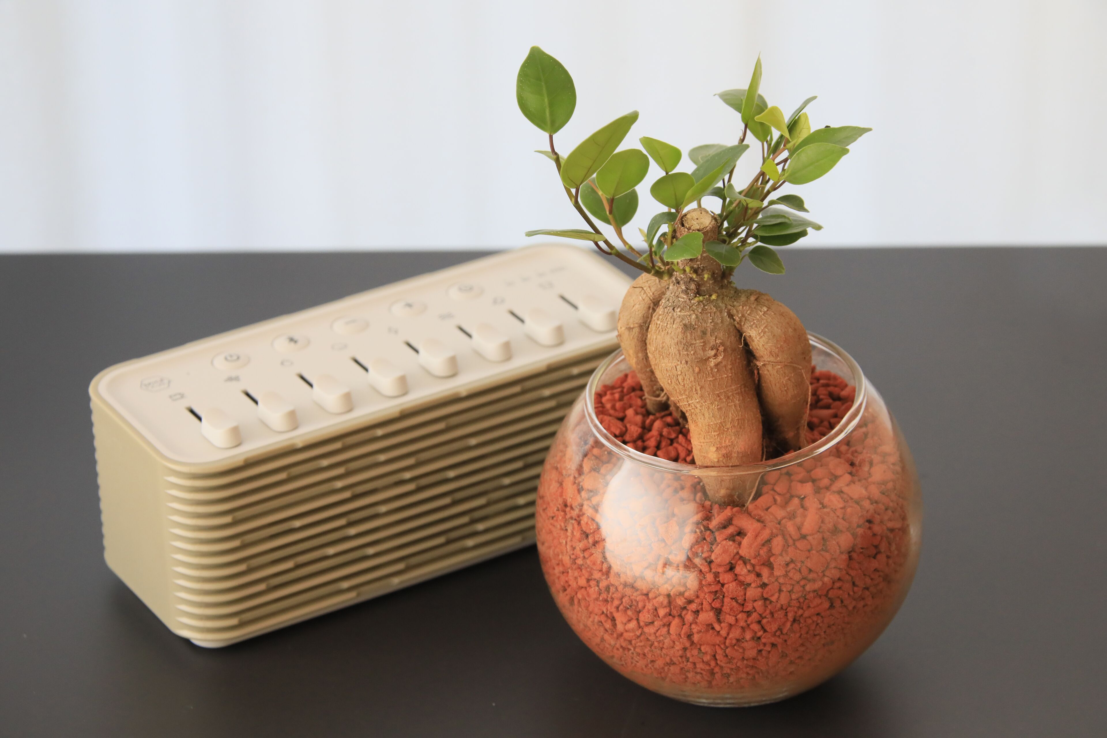 A plant in a glass bowl with red pebbles and a beige radio beside it.