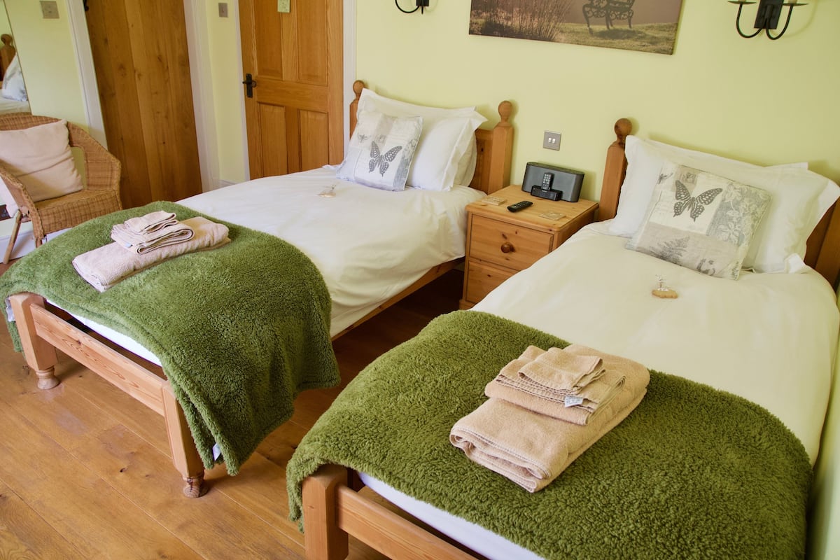 Classic Twin Room | 1 bedroom, desk, soundproofing, free WiFi