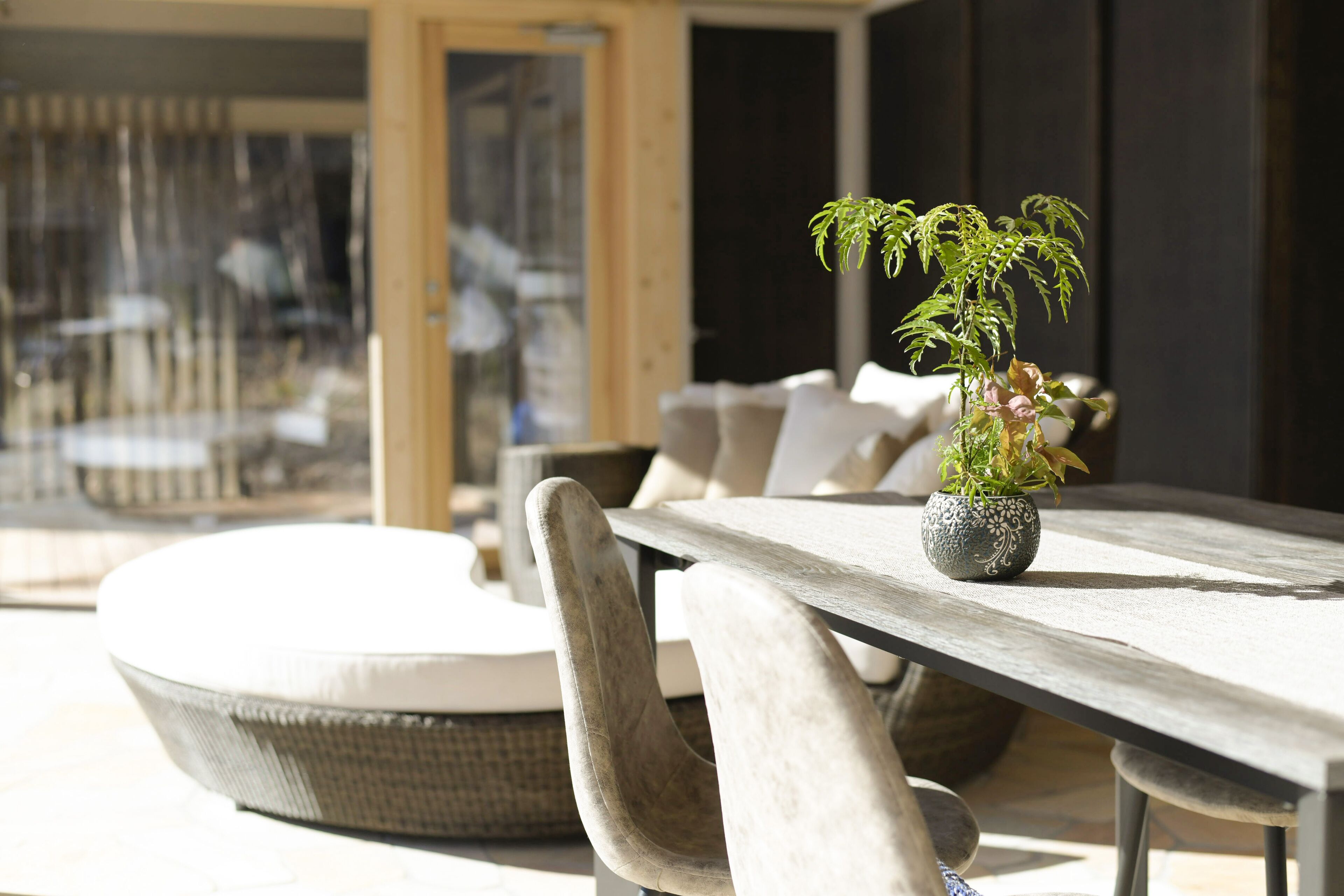 Eine sonnendurchflutete Terrassenfläche mit Holztisch, gepolsterten Sitzgelegenheiten und einem Blumentopf.