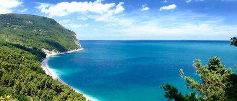 Vue sur la plage/l’océan