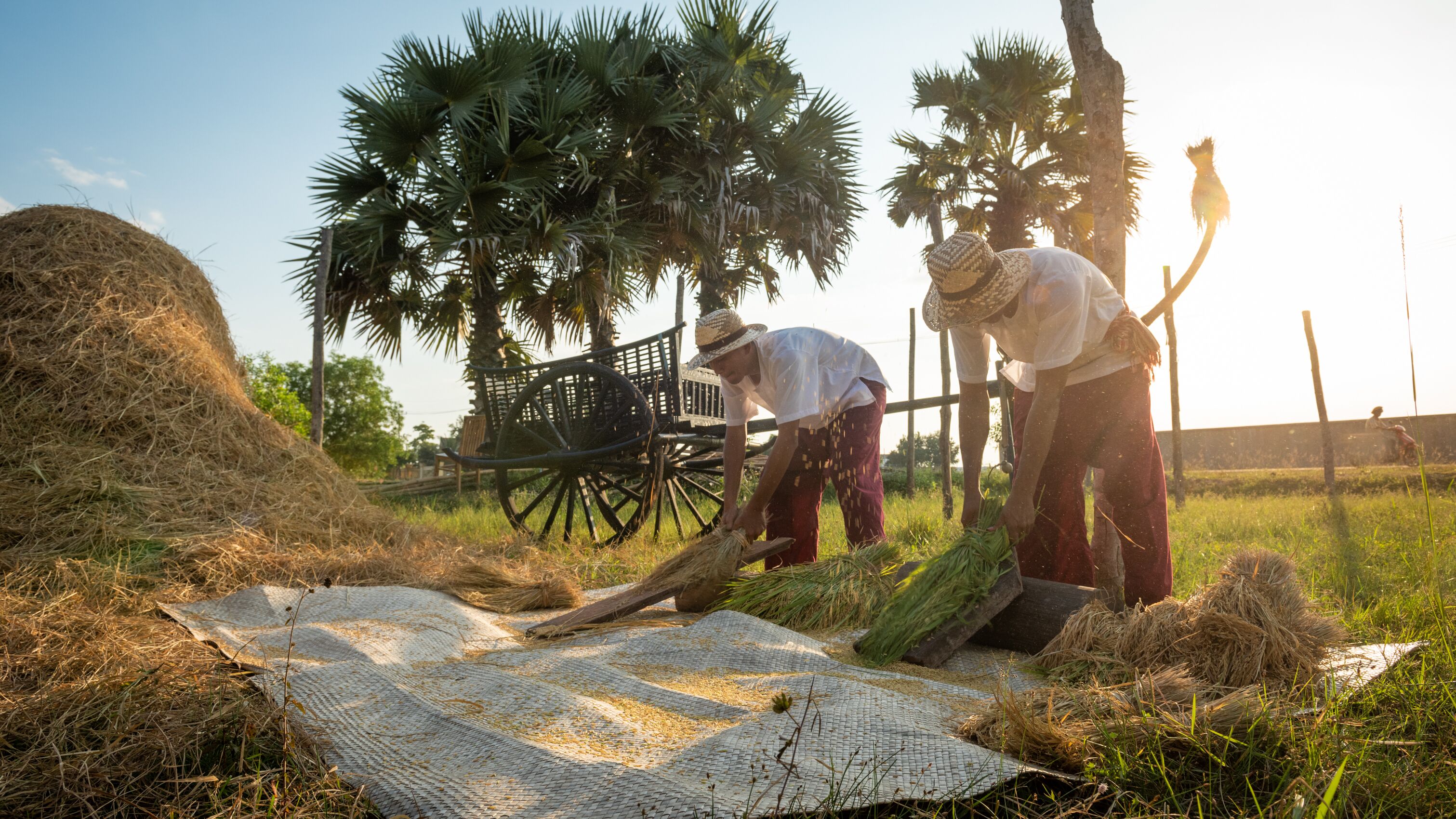 ropes course (team building)