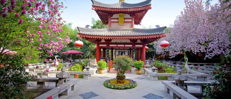 Explore a serene temple surrounded by a beautifully maintained garden with flowering trees and a tranquil fountain.
