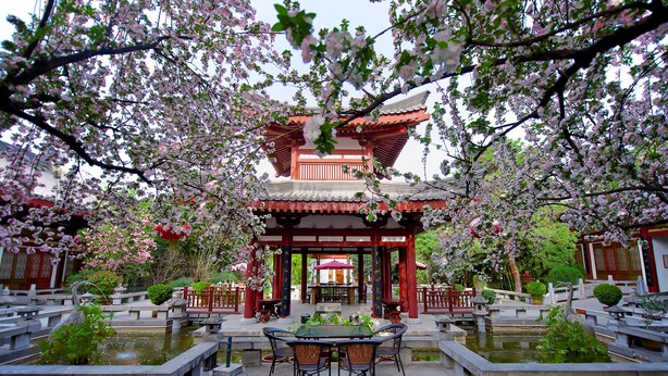A traditional Japanese-style pavilion with a tiled roof, surrounded by a koi pond and cherry blossom trees.