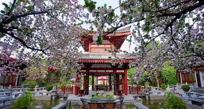 Tang Dynasty Art Garden Hotel