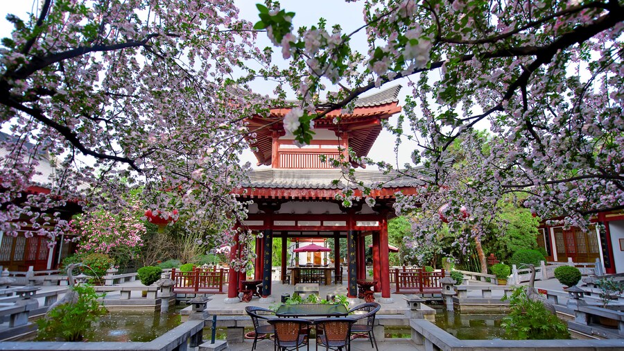 Tang Dynasty Art Garden Hotel